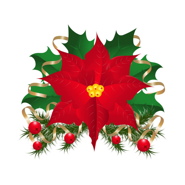 Christmas composition with poinsettia. Illustration. - Vector, Image