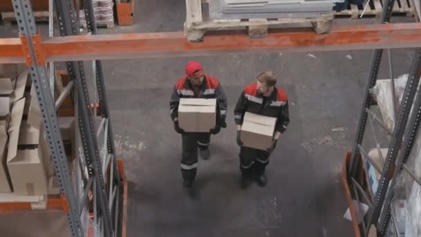 2つの多民族倉庫労働者のトップビューショット大きな倉庫で仕事について話してパレットラックに沿って商品を歩く重いカートンボックスを持っている労働者 - 映像、動画