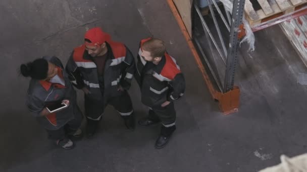 Z výšky záběry tří multietnických pracujících lidí v kombinézách, stojících ve skladu a mluvících, pak zvedajících hlavy s úsměvem do kamery - Záběry, video