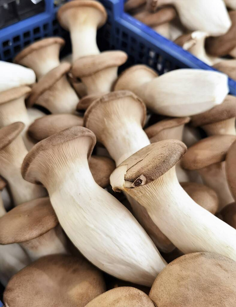 грибы устрицы на рынке крупным планом - Фото, изображение