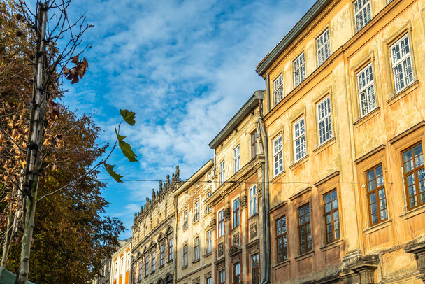 Lvivの美しい通りと家 - 写真・画像