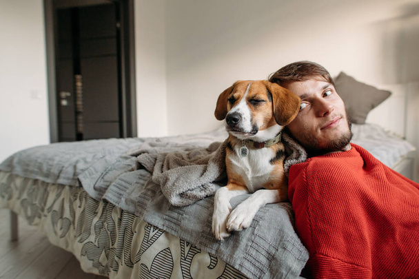 happy man with cute dog in bedroom on bed - Фото, изображение