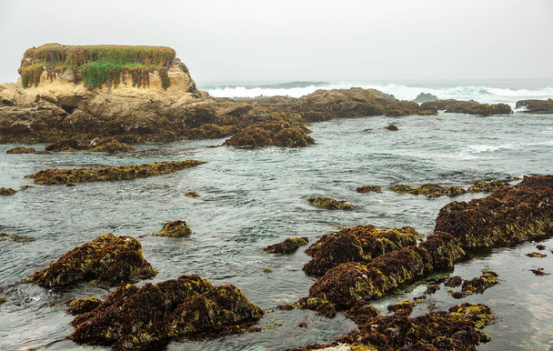 Wybrzeże Oceanu Spokojnego w mieście Monterey w Kalifornii. Stany Zjednoczone Ameryki. Piękna plaża w słoneczny dzień. Krajobraz oceanu. - Zdjęcie, obraz