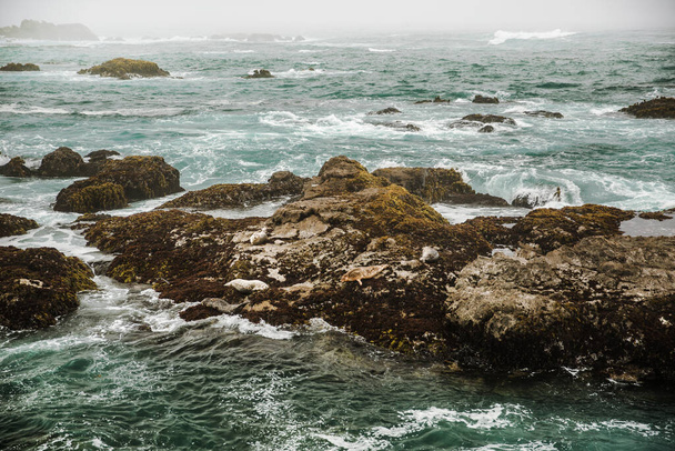 Die Pazifikküste in der Stadt Monterey in Kalifornien. Vereinigte Staaten von Amerika. Schöner Strand an einem sonnigen Tag. Meereslandschaft. - Foto, Bild
