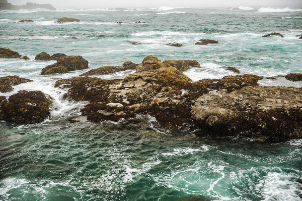 La costa del Océano Pacífico en la ciudad de Monterey en California. Estados Unidos de América. Hermosa playa en un día soleado. Paisaje océano. - Foto, Imagen