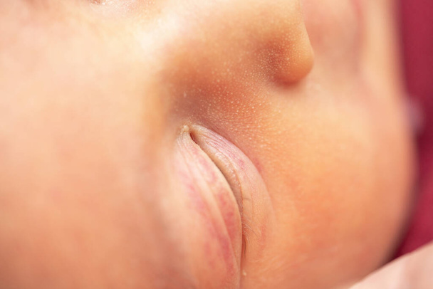 newborn baby closeup, top view shallow depth of field - Photo, Image