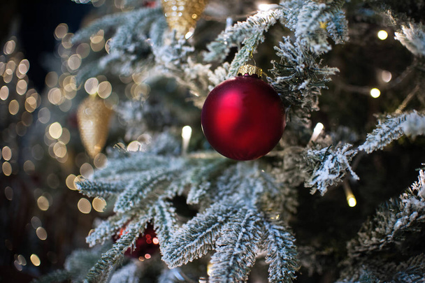 Christmas ornaments red ball on Christmas tree - Fotoğraf, Görsel