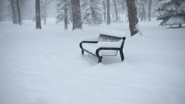 In einem Park mit gemischten Bäumen und einer Metallbank fällt heftiger Schnee. Das Wetter sieht kalt und stürmisch aus. - Filmmaterial, Video