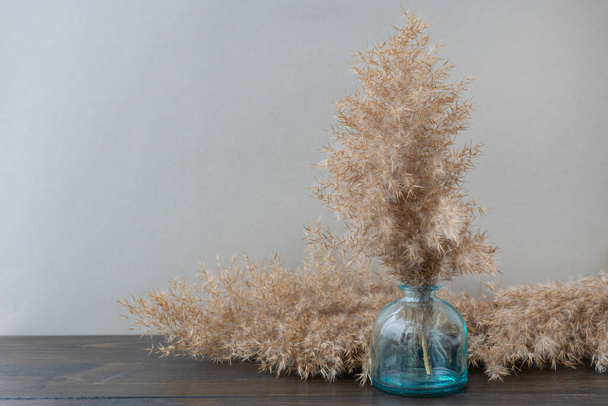 Branch of fluffy beige pampas grass in little blue vase, another brach lie on wooden table on light background. Copy space. Natural materials in interior.  - Valokuva, kuva