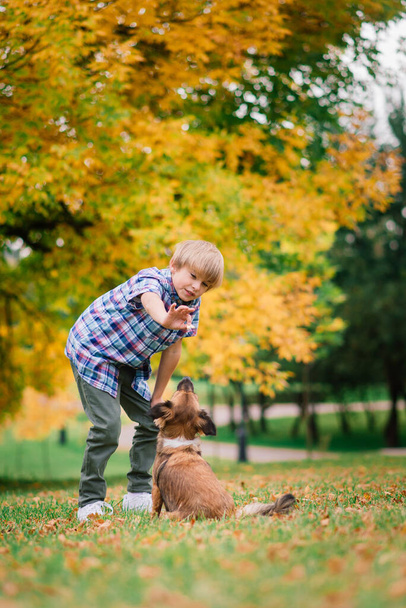 Милый мальчик играет и гуляет со своей собакой на лугу. - Фото, изображение