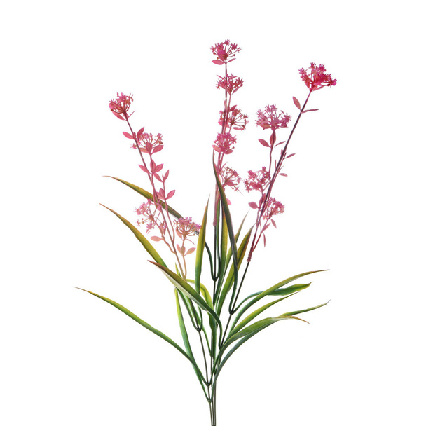 rama con flores artificiales aisladas sobre un fondo - Foto, imagen