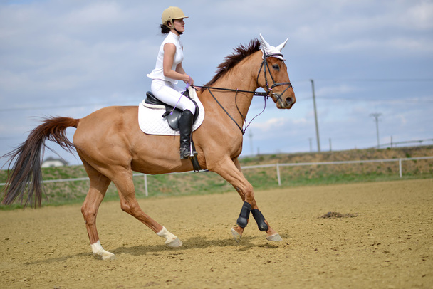 žena jezdec na koni show - Fotografie, Obrázek