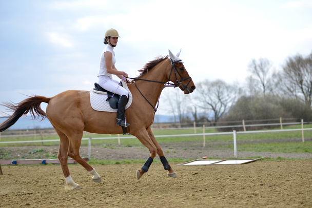 nő lovas a ló show - Fotó, kép
