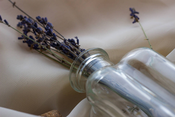 lavender in a glass bottle or vase on a light background, top view - Photo, Image