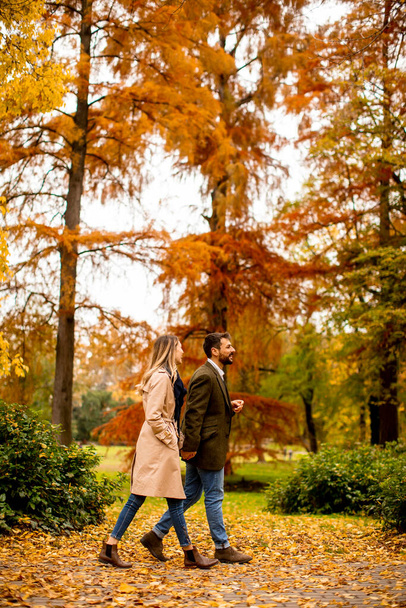 Handsome young couple walking in the autumn park - Fotó, kép