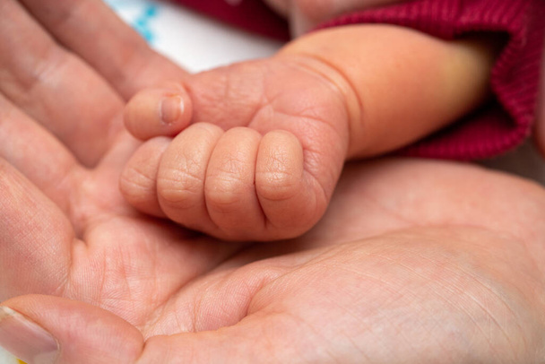 Рука новорожденного ребенка кладется в ладонь матери - Фото, изображение