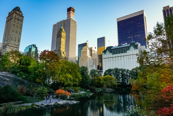 Central Park huipulla syyskauden New Yorkissa keltainen ja punainen lehdet ja puut vaihtavat väriä huipulla syksyn lehtien. - Valokuva, kuva