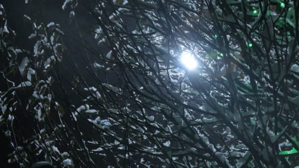 A neve cobria árvores à noite. Árvores cobertas de neve à noite com lâmpadas elétricas soprando na criação de um clima festivo de Ano Novo nas ruas da cidade - Filmagem, Vídeo