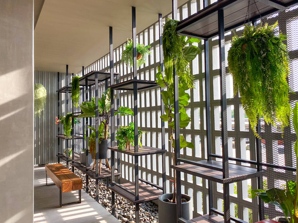 The sunlight shines through the white cement wall. There are plants placed as a place to relax. - Foto, Imagen