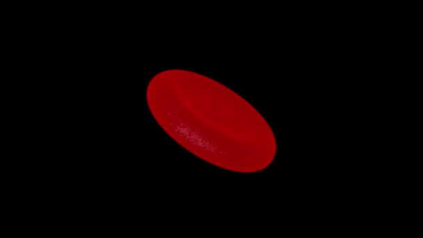 punasolu pyörii verenkierrossa - silmukka 3D-animaatio - Materiaali, video