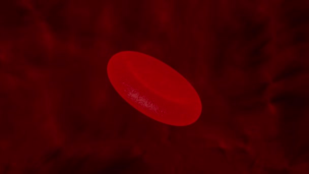 red blood cell rotates in the blood circulation - loop 3D animation - Footage, Video