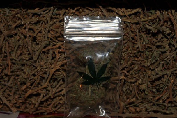 Marihuana super lemon haze in small bug makro pięćdziesiąt megapikseli marihuana medyczna - Zdjęcie, obraz