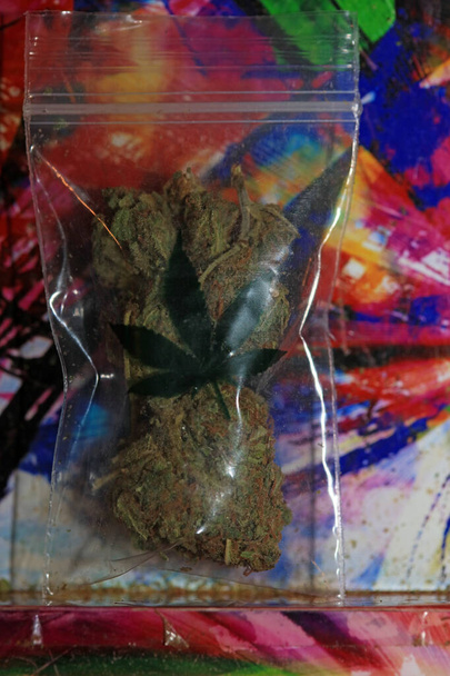Marihuana super citroen nevel in kleine bug macro vijftig megapixels medicinale cannabis - Foto, afbeelding