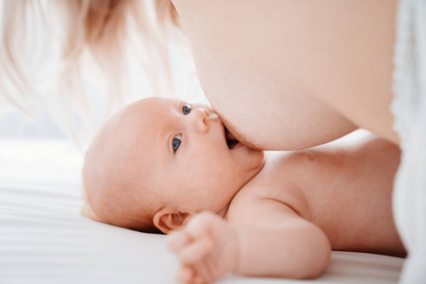 mother feeds baby. breast-feeding. happy motherhood and healthy nutrition. - Photo, image