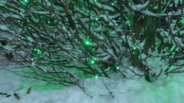 Alberi innevati di notte. Alberi coperti di neve di notte con lampade elettriche che soffiano nella creazione di un umore festivo di Capodanno sulle strade della città - Filmati, video