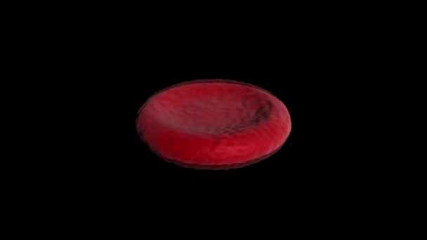 Rote Blutkörperchen rotieren im Blutkreislauf - 3D-Animation der Schleife - Filmmaterial, Video