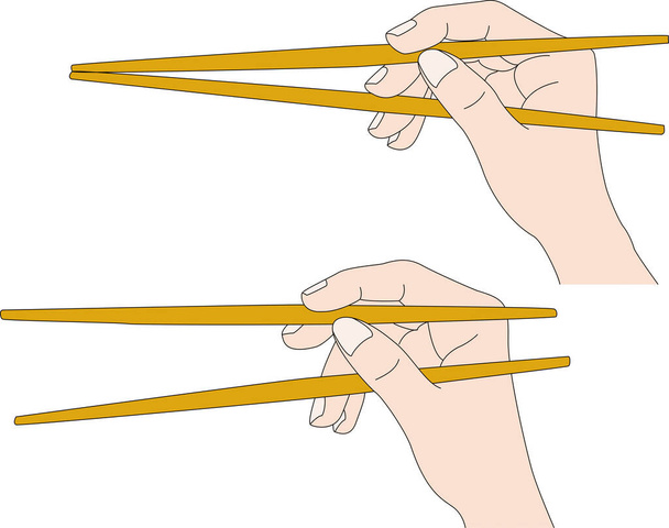 Illustration of how to use chopsticks - Vector, Image