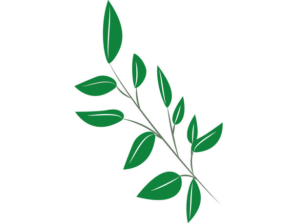 Material verde do quadro da folha - Vetor, Imagem