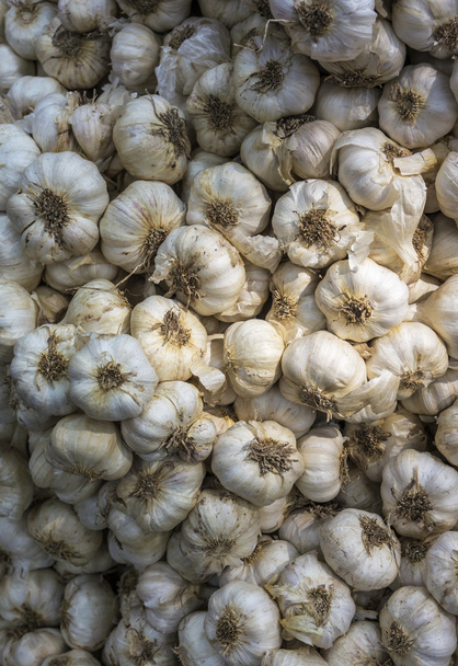 garlics - Foto, afbeelding