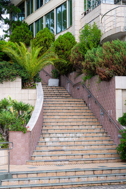 Modern stairs in a green tropical garden. - Фото, зображення