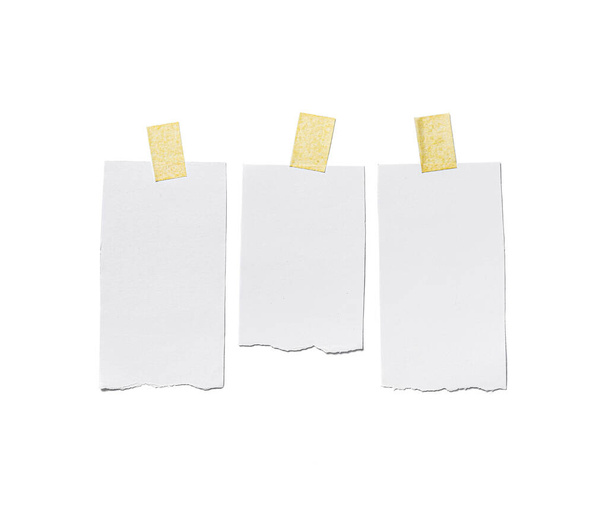Feuilles de papier vierges sur fond blanc - Photo, image