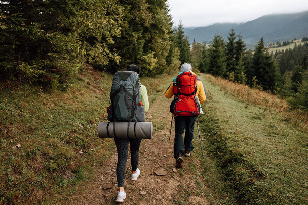 Mother and Father with baby in the backpack carrier walking in the autumn mountain forest. - Photo, Image