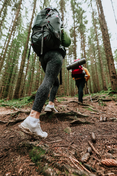 Пішохідна пара туристів пішохідна лісова стежка в осінню природу йде в кемпінг з рюкзаками. Жінка і чоловік піднімаються на гору
.  - Фото, зображення