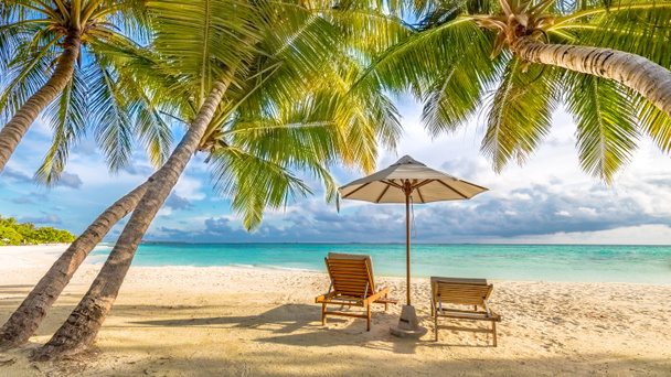 Piękny tropikalny zachód słońca, dwa leżaki, leżaki, parasol pod palmą. Biały piasek, widok na morze z horyzontem, kolorowe niebo zmierzch, spokój i relaks. Inspirujące hotel Beach Resort - Zdjęcie, obraz