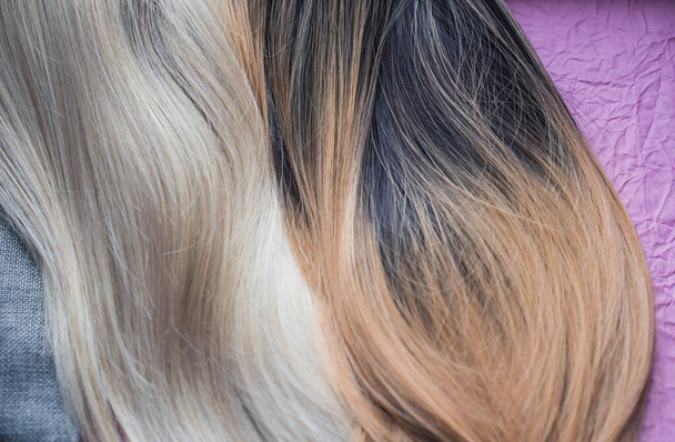 Perücken, natürliche und synthetische Haare. Das Schönheitskonzept der Frauen. Nahaufnahme Foto von Perücke, Haare für Damen - Foto, Bild