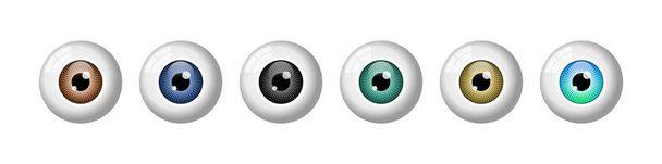 Реальний набір очних яблук. Різні кольорові очі. Коричневий, синій, чорний, зелений, бурштинова райдужка. Найбільш поширені кольори очей. Офтальмологія. Кольорові контактні лінзи. Білий фон. Векторні ілюстрації, плоске, кліп-арт
 - Вектор, зображення