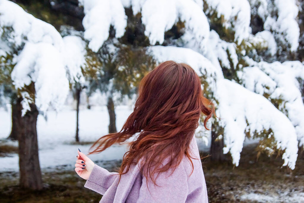 pretty girl in winter forest, young woman in winter park - Photo, Image
