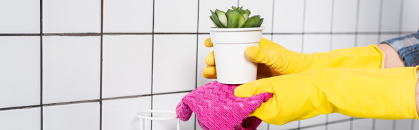 Vista cortada da planta de limpeza da mulher com pano no banheiro, banner  - Foto, Imagem