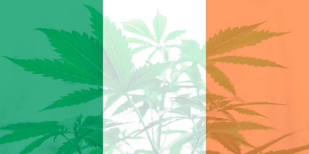 leaf of cannabis marijuana on the flag of Ireland. Medical cannabis in the Ireland. Weed Decriminalization in Ireland. Cannabis legalization in the Ireland. - Photo, image