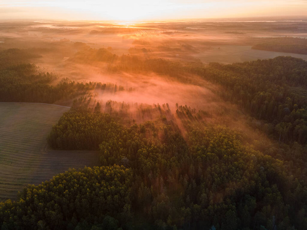 A fantastic aerial view of a densely forested area with foliage shrouded in a mist at sunset - Foto, afbeelding
