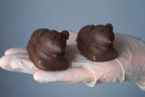 Confectioner is holding two chocolate mice in hand, manufacturer of sweets. - 写真・画像