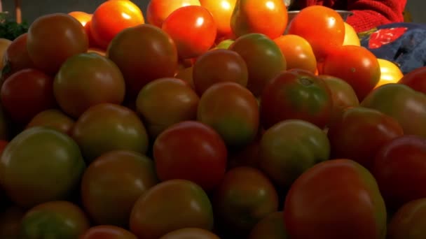 Melez kırmızı renk organik Hint domatesleri tarımsal pazarda kamera önünde sunuluyor.. - Video, Çekim
