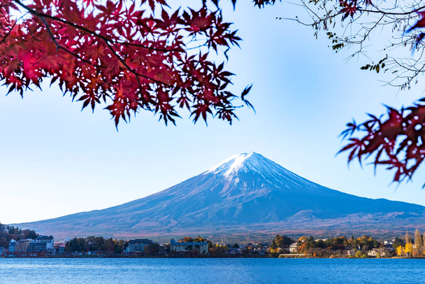 Automne coloré au Mont Fuji, Japon Le lac Kawaguchiko est l'un des meilleurs endroits au Japon pour profiter du paysage du Mont Fuji de feuilles d'érable changeant de couleur donnant l'image de ces feuilles encadrant le Mont Fuji. - Photo, image