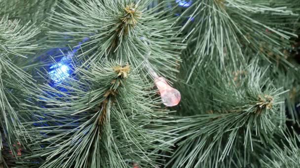 Árbol de pino con luces de Navidad - Metraje, vídeo