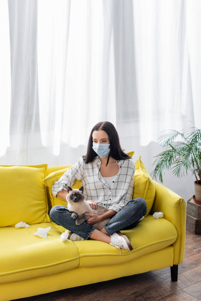 Maskeli genç alerjik kadın kedi ve buruşuk peçetelerle kanepede otururken alerji geçiriyor. - Fotoğraf, Görsel