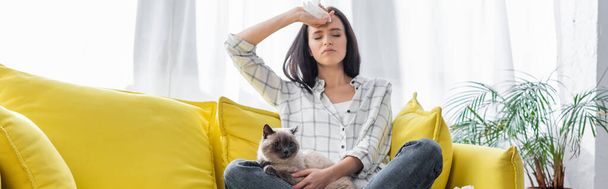 allergic woman suffering from headache while sitting on yellow couch with cat, banner - Foto, Bild